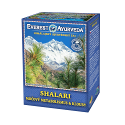 Shalari himalájsky čaj 100g